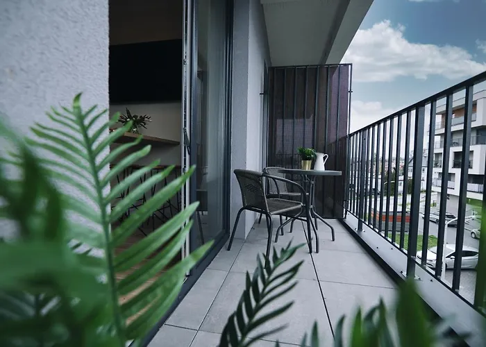 Zatorest 43 By Housine Zator